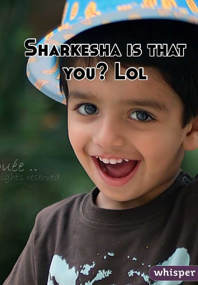Sharkesha is that you? Lol