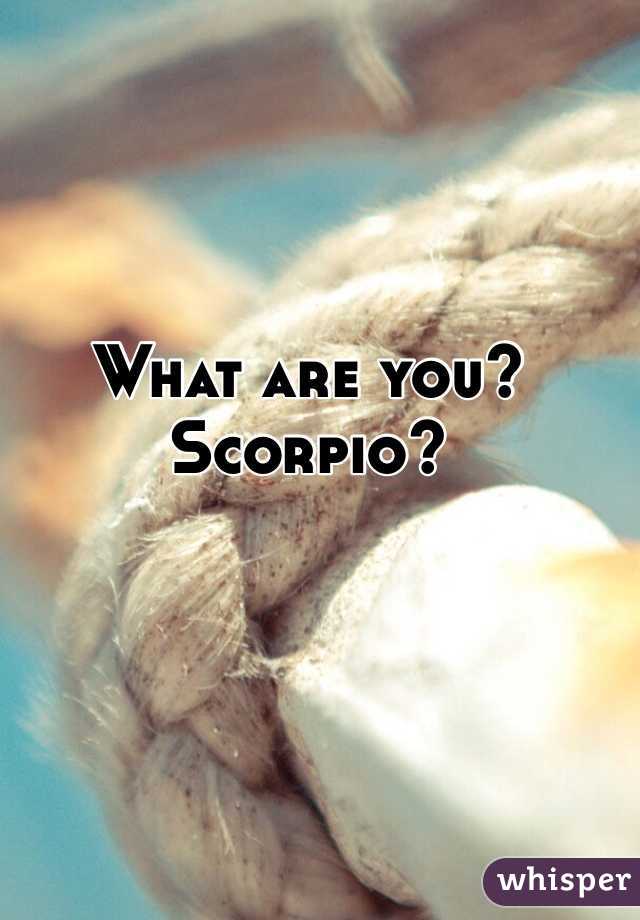 What are you? Scorpio? 