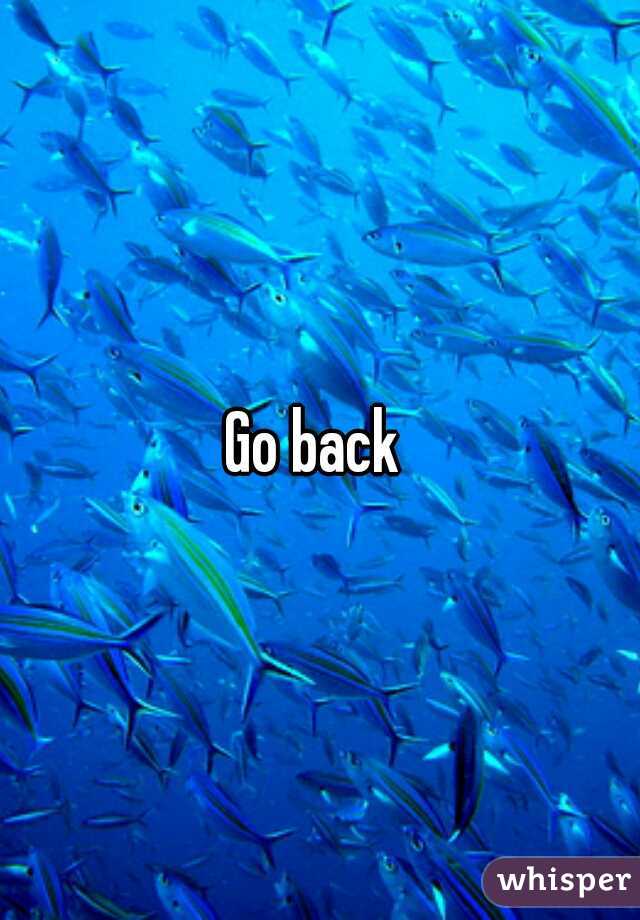 Go back 