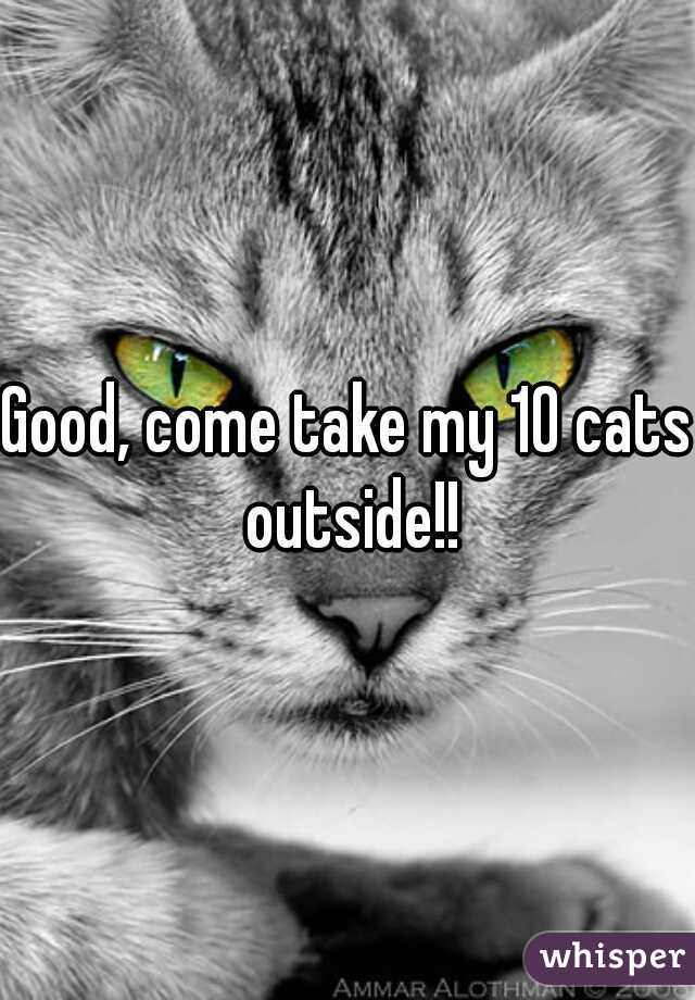 Good, come take my 10 cats outside!!
