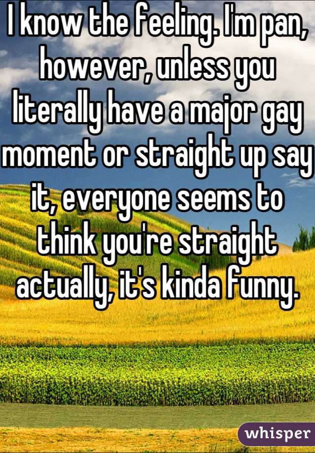 I know the feeling. I'm pan, however, unless you literally have a major gay moment or straight up say it, everyone seems to think you're straight actually, it's kinda funny.