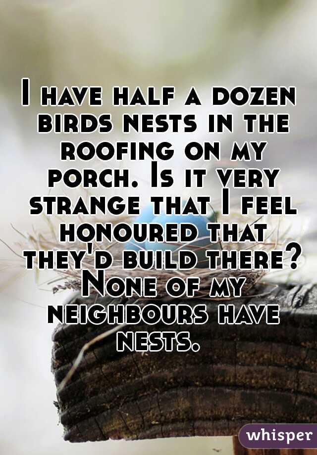 I have half a dozen birds nests in the roofing on my porch. Is it very strange that I feel honoured that they'd build there? None of my neighbours have nests. 