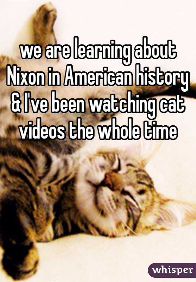 we are learning about Nixon in American history & I've been watching cat videos the whole time