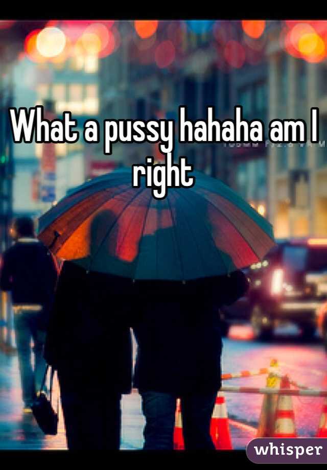 What a pussy hahaha am I right 
