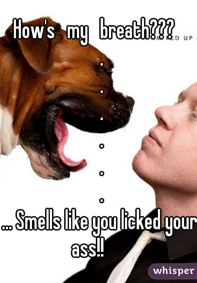 How's   my   breath???   
 .
 .
 .
 .
 .
 .

 

... Smells like you licked your ass!!       