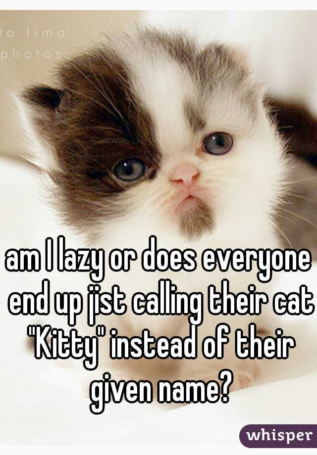 am I lazy or does everyone end up jist calling their cat "Kitty" instead of their given name?