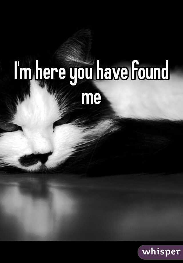 I'm here you have found me
