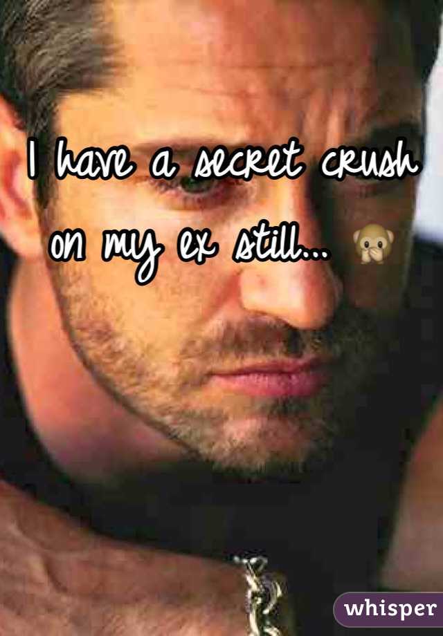 I have a secret crush on my ex still... 🙊