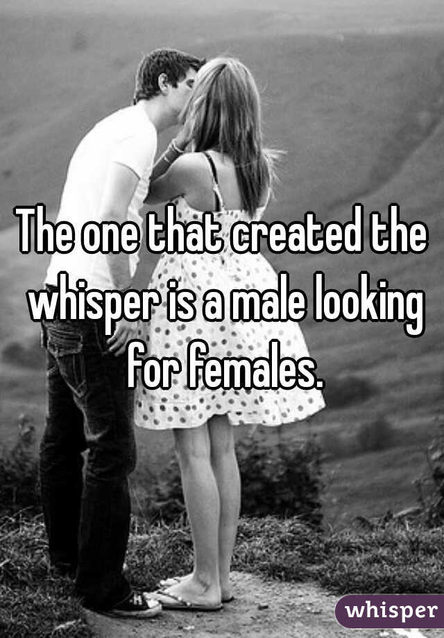 The one that created the whisper is a male looking for females.