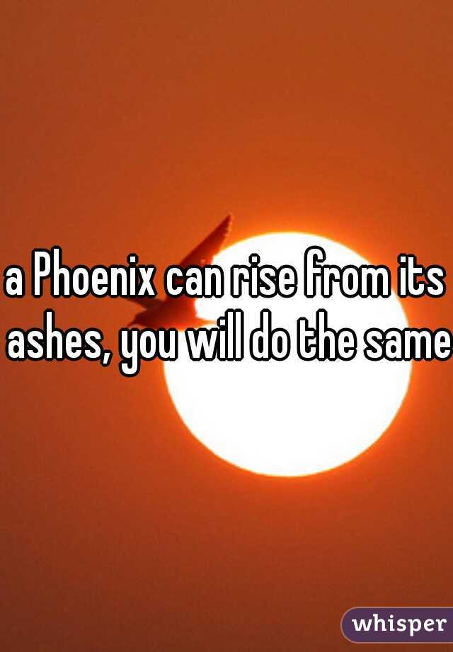 a Phoenix can rise from its ashes, you will do the same