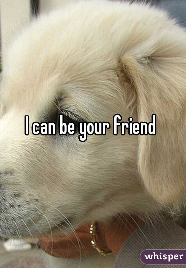 I can be your friend 
