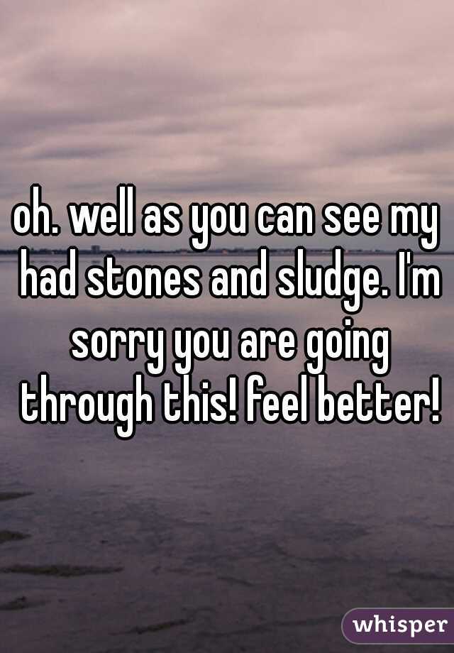 oh. well as you can see my had stones and sludge. I'm sorry you are going through this! feel better!