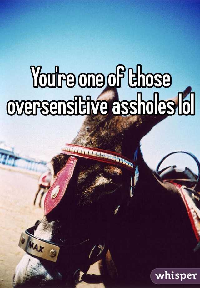 You're one of those oversensitive assholes lol  