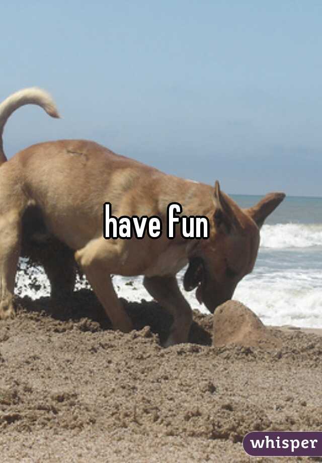 have fun 