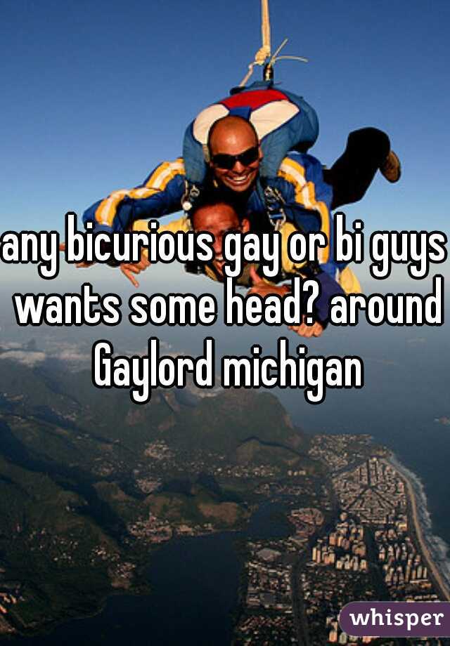 any bicurious gay or bi guys wants some head? around Gaylord michigan