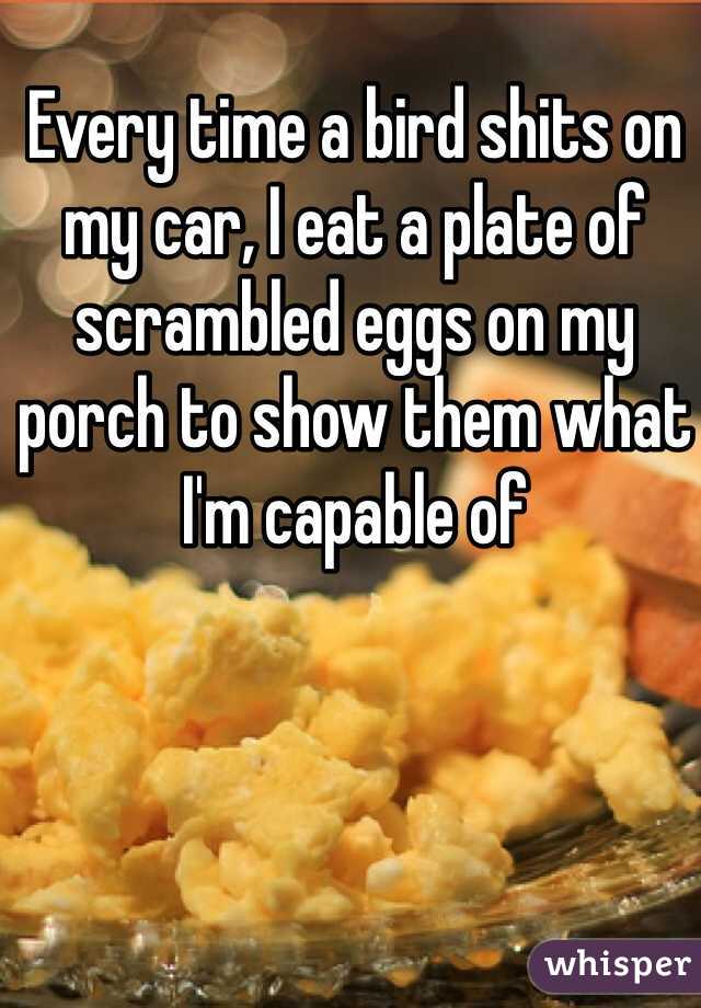 Every time a bird shits on my car, I eat a plate of scrambled eggs on my porch to show them what I'm capable of