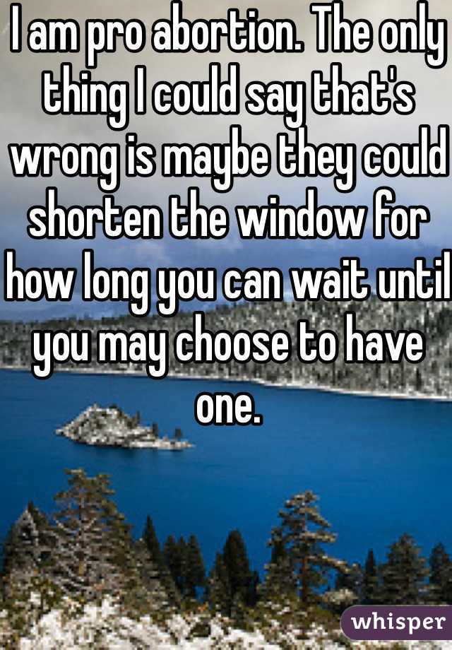 I am pro abortion. The only thing I could say that's wrong is maybe they could shorten the window for how long you can wait until you may choose to have one. 