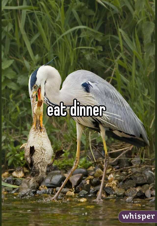 eat dinner 