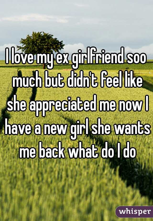 I love my ex girlfriend soo much but didn't feel like she appreciated me now I have a new girl she wants me back what do I do