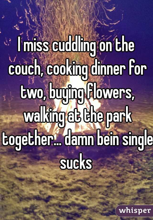 I miss cuddling on the couch, cooking dinner for two, buying flowers, walking at the park together... damn bein single sucks 