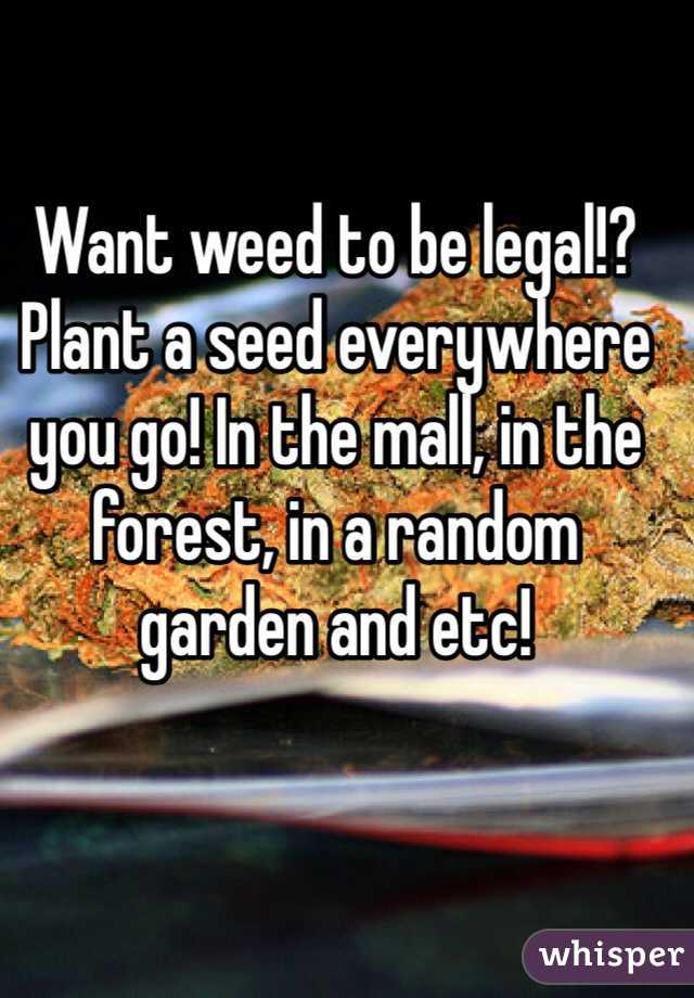 Want weed to be legal!? Plant a seed everywhere you go! In the mall, in the forest, in a random garden and etc!