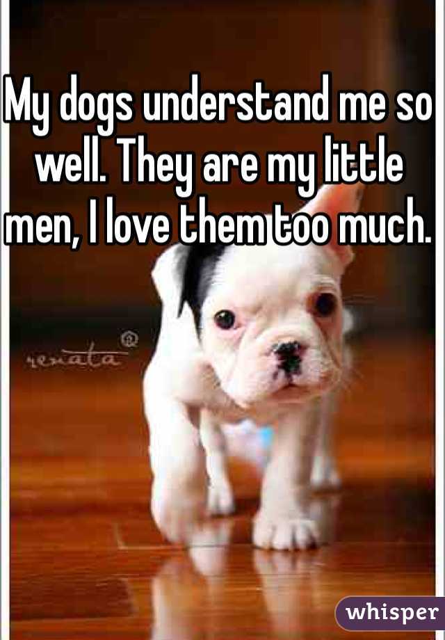 My dogs understand me so well. They are my little men, I love them too much. 