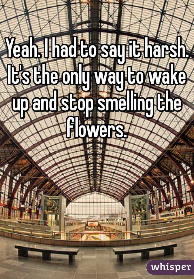 Yeah. I had to say it harsh. It's the only way to wake up and stop smelling the flowers.