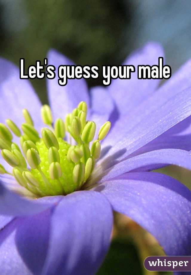 Let's guess your male 