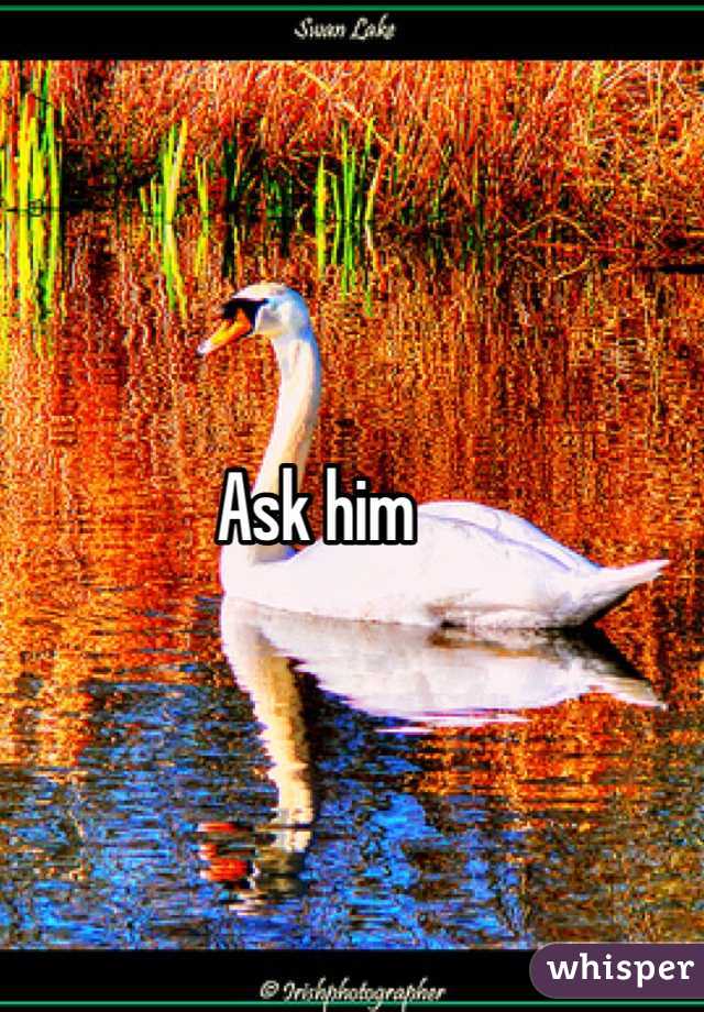 Ask him 