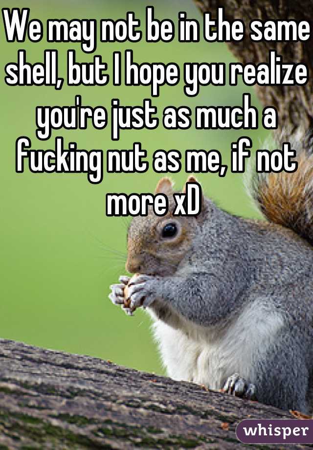 We may not be in the same shell, but I hope you realize you're just as much a fucking nut as me, if not more xD 