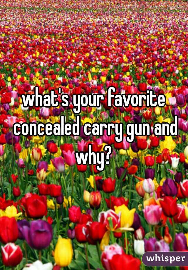 what's your favorite concealed carry gun and why? 