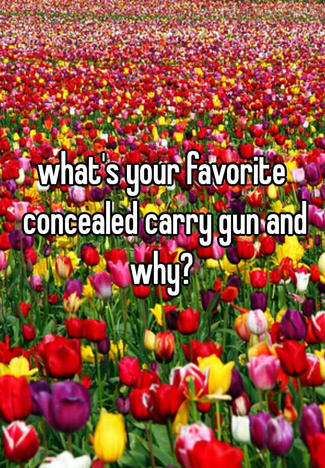 what's your favorite concealed carry gun and why? 