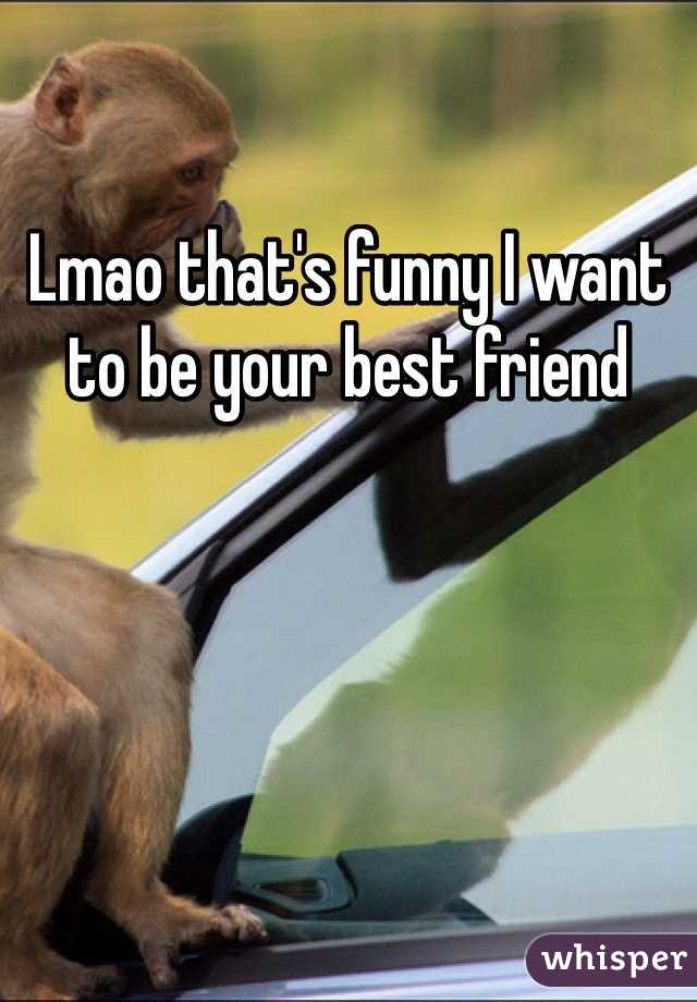 Lmao that's funny I want to be your best friend 