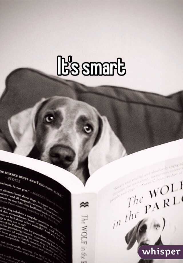 It's smart 