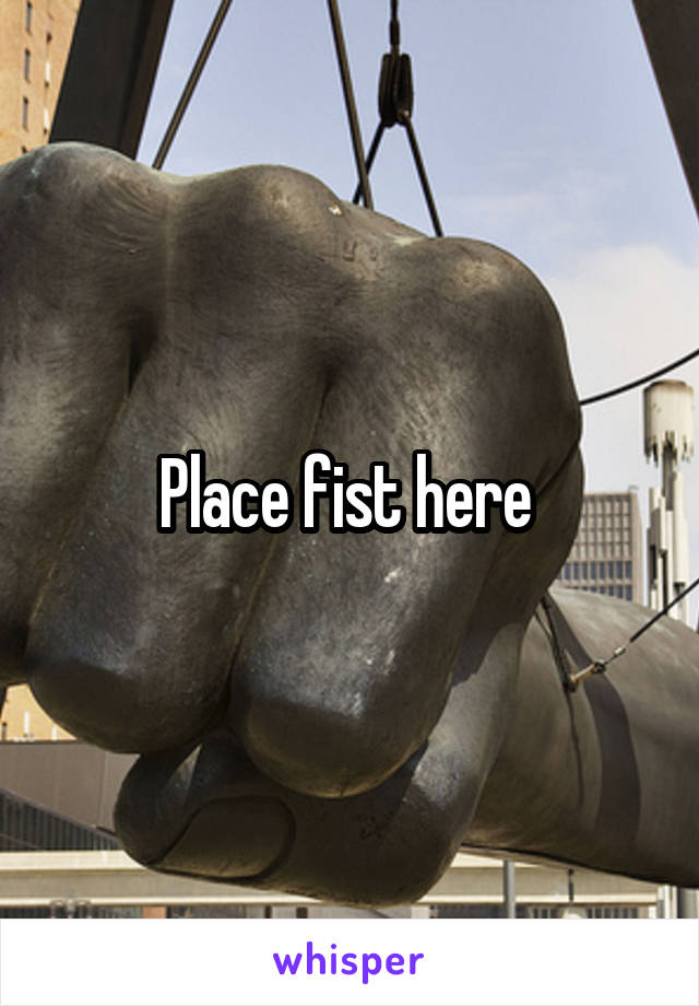 Place fist here 