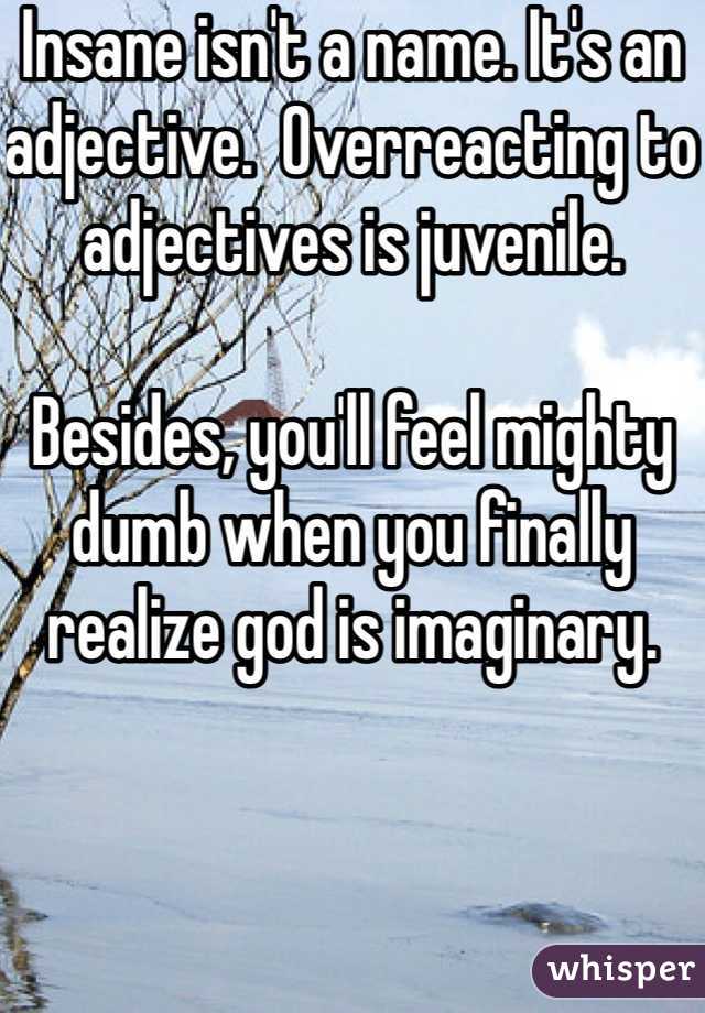 Insane isn't a name. It's an adjective.  Overreacting to adjectives is juvenile. 

Besides, you'll feel mighty dumb when you finally realize god is imaginary.  