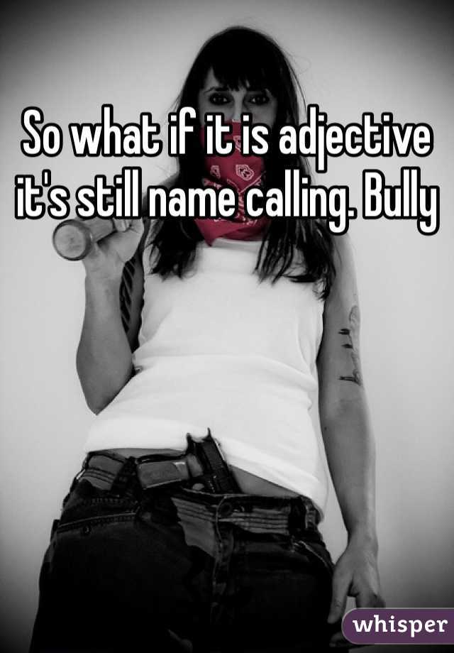 So what if it is adjective it's still name calling. Bully