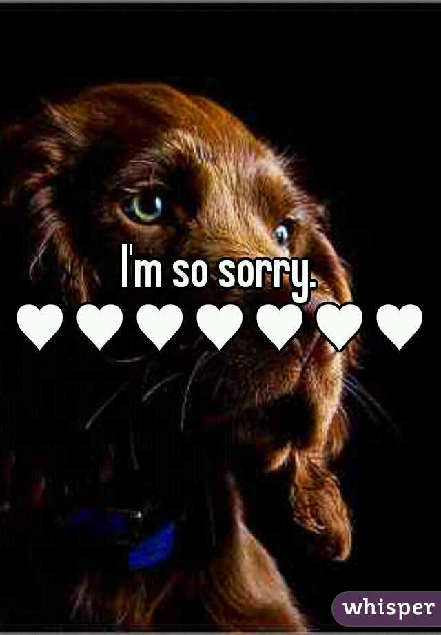 I'm so sorry.
♥♥♥♥♥♥♥♥