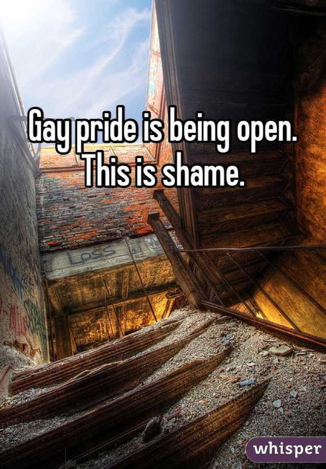 Gay pride is being open. This is shame.