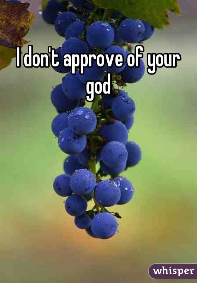 I don't approve of your god