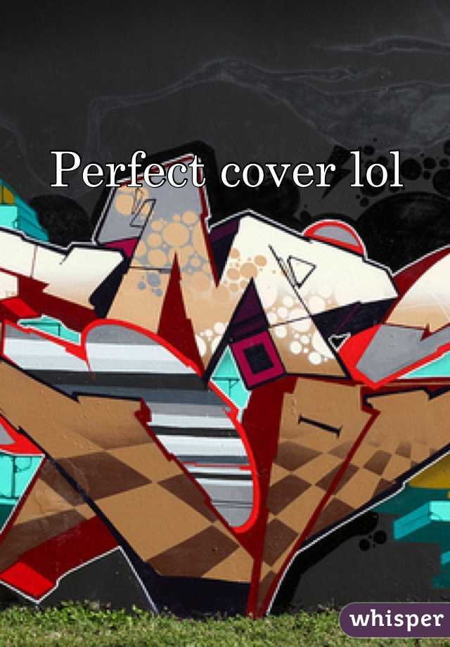 Perfect cover lol
