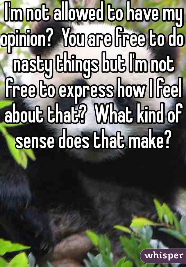 I'm not allowed to have my opinion?  You are free to do nasty things but I'm not free to express how I feel about that?  What kind of sense does that make?