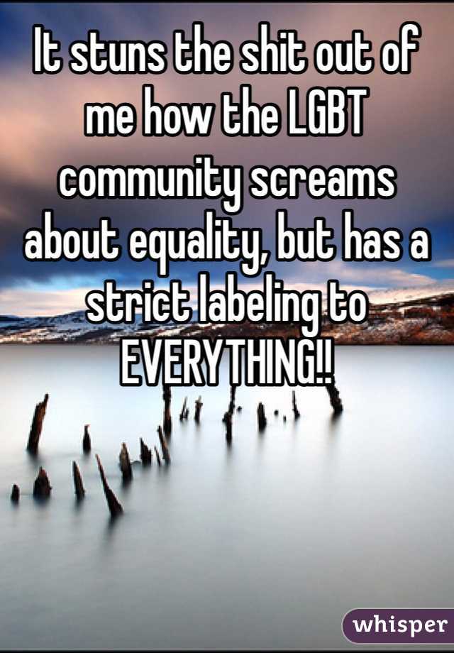 It stuns the shit out of me how the LGBT community screams about equality, but has a strict labeling to EVERYTHING!! 