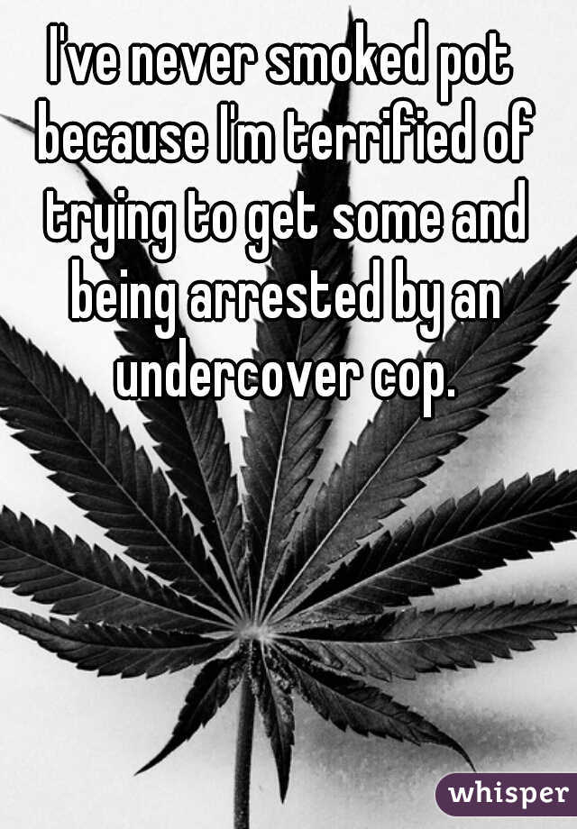 I've never smoked pot because I'm terrified of trying to get some and being arrested by an undercover cop.