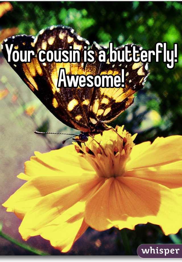 Your cousin is a butterfly! Awesome!