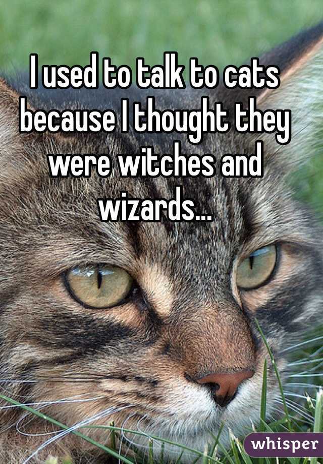 I used to talk to cats because I thought they were witches and wizards...