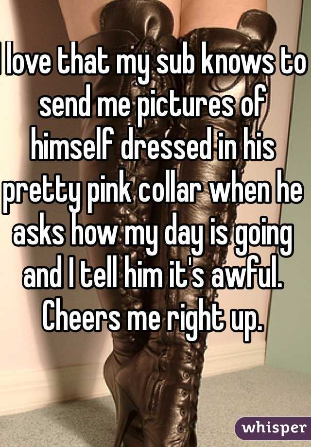 I love that my sub knows to send me pictures of himself dressed in his pretty pink collar when he asks how my day is going and I tell him it's awful. Cheers me right up.
