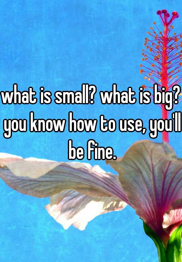 what-is-small-what-is-big-you-know-how-to-use-you-ll-be-fine