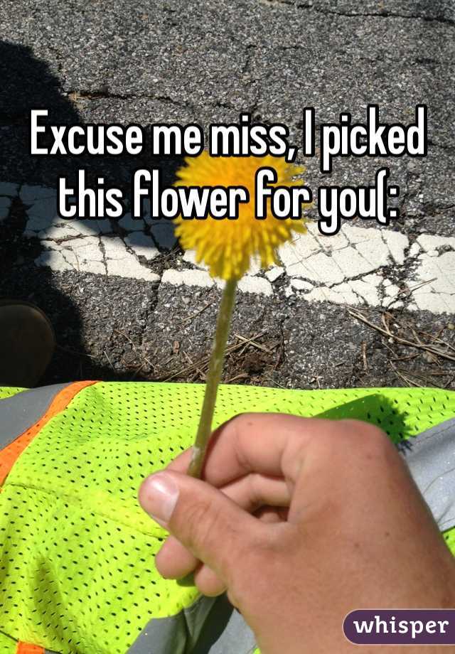 Excuse me miss, I picked this flower for you(: