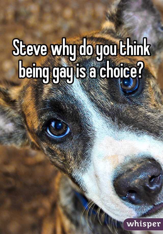 Steve why do you think being gay is a choice? 